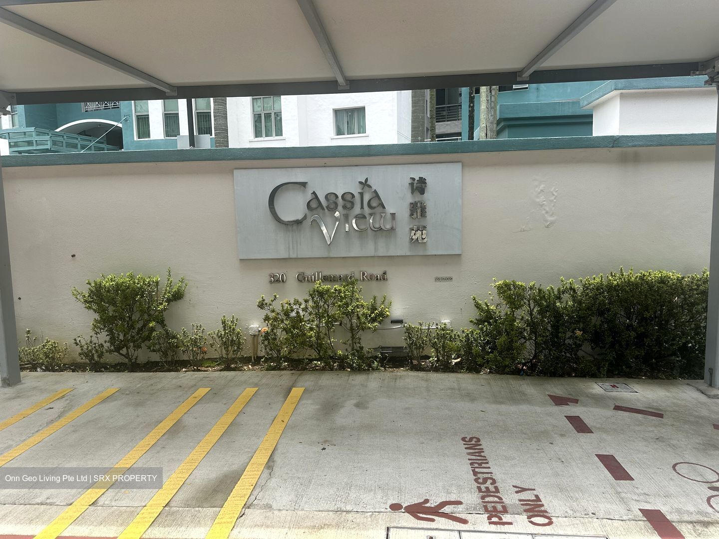 Cassia View (D14), Apartment #503561421